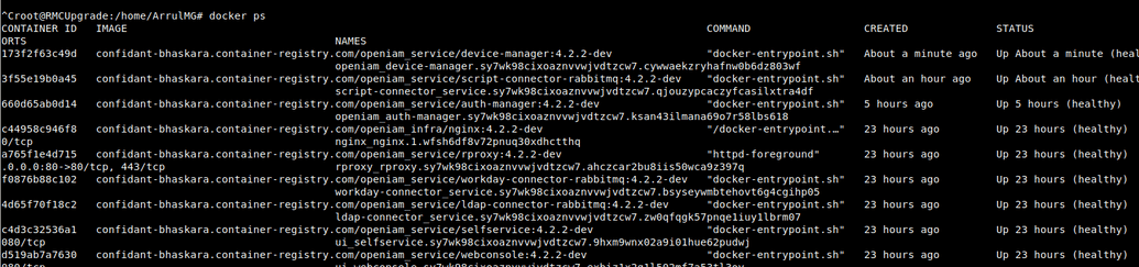 Services output