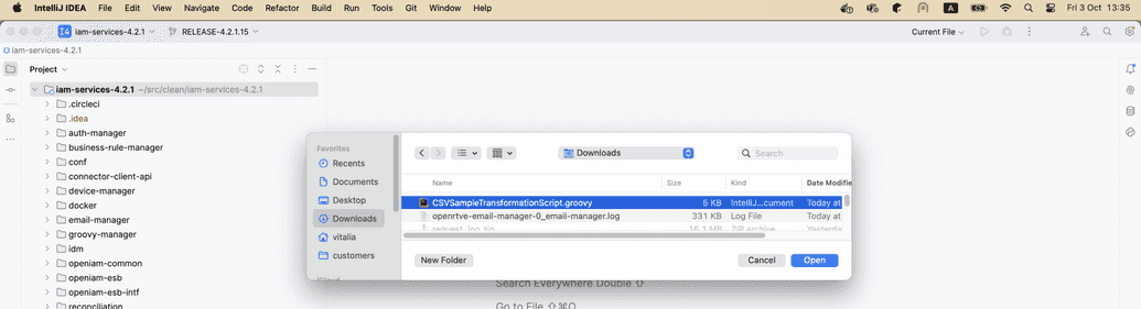 Opening in IDE