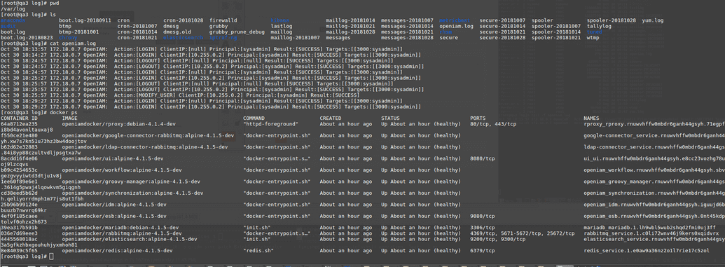 Logs check on server