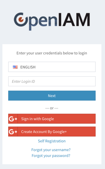 login page 